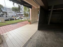 Tessensohn Road (D8), Shop House #508638541